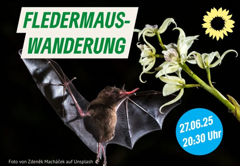 Fledermauswanderung